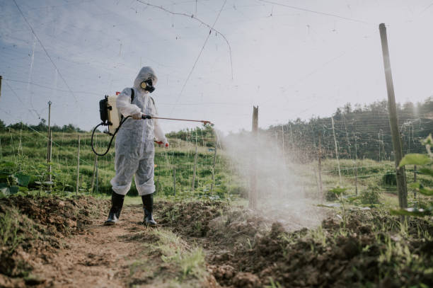 Best Mosquito Control Services  in Black Diamond, WA