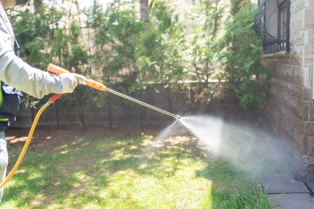 Best Best Pest Control Companies  in Black Diamond, WA