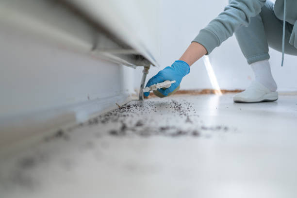  Black Diamond, WA Pest Control Pros